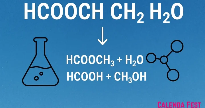 Understanding hcooch ch2 h2o Hydrolysis Properties and Industrial Importance